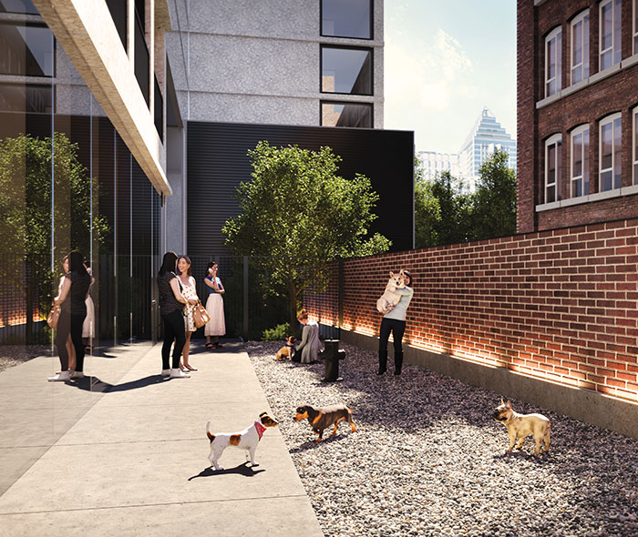 The dog park of a new Montreal real estate project